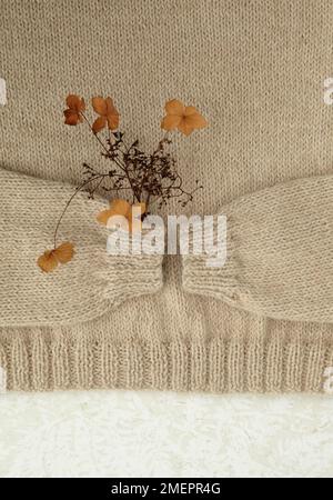 Chandail beige à l'alpaga avec fleurs nichées sous l'une des manches Banque D'Images