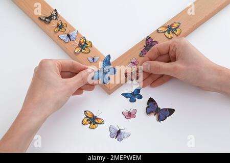 Disposition des découpes de papillon sur le cadre de la photo découplée, gros plan Banque D'Images