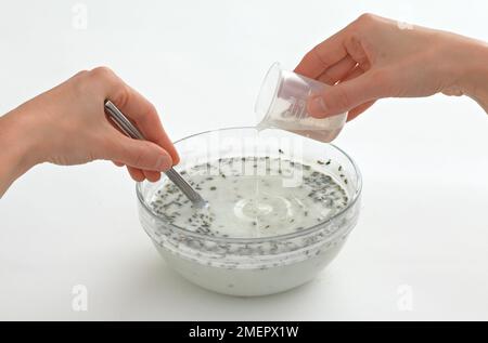 Ajouter l'huile essentielle de lavande au savon fondu opaque et aux bourgeons de lavande moulés dans un bol résistant à la chaleur, mélanger avec une cuillère, gros plan Banque D'Images