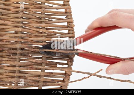 Utilisez des couteaux latéraux pour découper les extrémités du saule de panier, en gros plan Banque D'Images