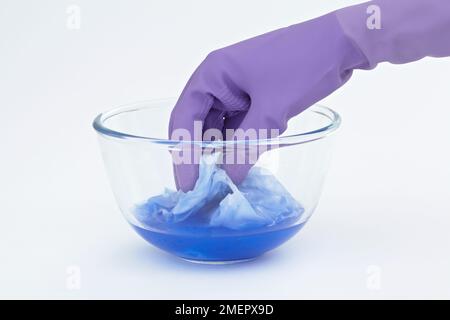 Porter des gants en caoutchouc pour tremper la soie dans la peinture bleue dans l'eau dans un bol en verre, gros plan Banque D'Images