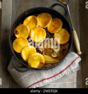 Le boeuf, le fenouil et champignons cordonnier en fonte pan, avec cuillère Banque D'Images