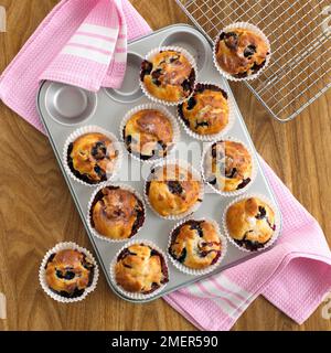 Muffins aux myrtilles dans un plateau à gâteaux, un torchon et un panier de refroidissement Banque D'Images