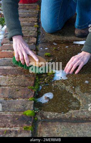 Retirer la mousse du chemin à l'aide d'une brosse et d'eau savonneuse Banque D'Images