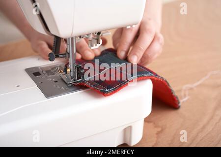 Coudre à la machine autour des bords de la veste pour chien, en joignant les parties supérieure et de garniture. Neaten les bords avec un point en zigzag ou un surverrou Banque D'Images