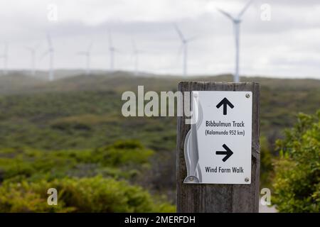 Signalisation pour les sentiers de randonnée dans la zone côtière de nettoyage de la lande dans le parc national de Torndirrup à la ferme éolienne d'Albany Banque D'Images