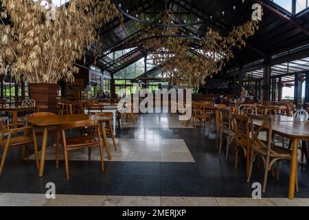 Intérieur de café avec tables et chaises en bois au milieu du paysage de la nature Banque D'Images