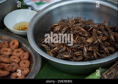 Myanmar, région de Mandalay, Mandalay, marché Zegyo, cuisine de rue - grillons Banque D'Images