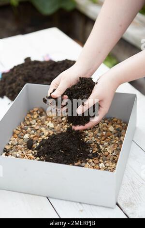 Faire une mini ferme de jardin pour enfants, ajouter de la terre Banque D'Images