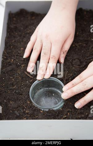 Faire une mini ferme de jardin pour enfants, ajouter un bol Banque D'Images