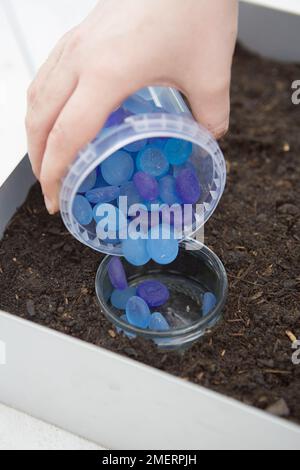 Mini-ferme de jardin pour enfants, ajoutant des cailloux bleus dans un bol comme élément décoratif Banque D'Images