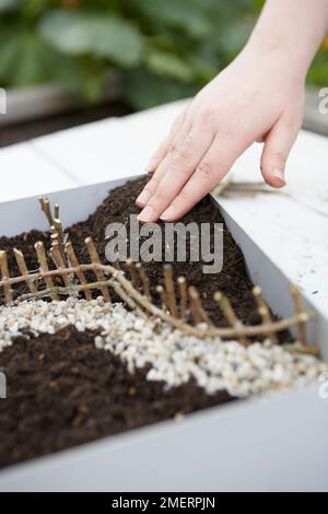 Faire une mini ferme de jardin pour enfants Banque D'Images