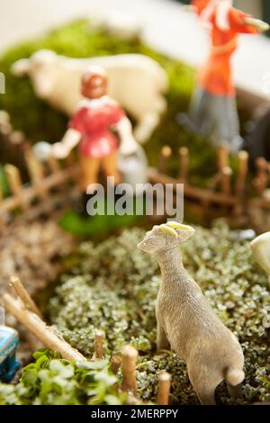 Mini-jardin ferme pour enfants, gros plan Banque D'Images