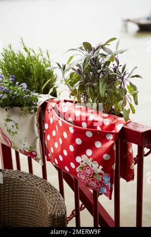 Jardinières style sac à selle, herbes Banque D'Images