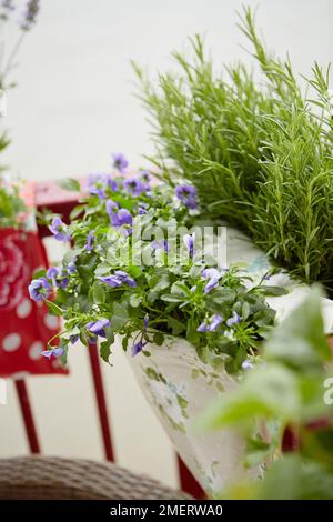 Jardinières de style sac à selle, gros plan Banque D'Images