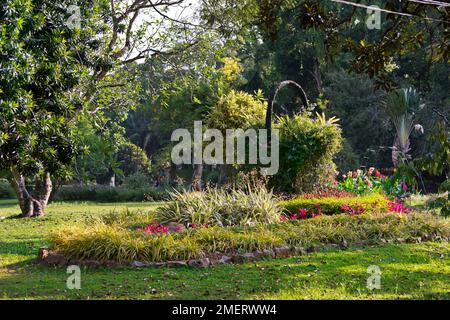 Gampaha, Sri Lanka, province occidentale, jardin botanique de Henarathgoda Banque D'Images