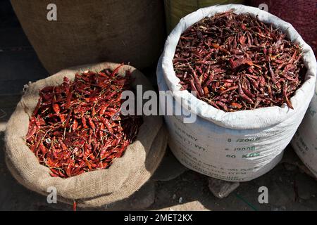 Ville de Jaffna, province du Nord-est, marché des produits, Sri Lanka, sacs d'épices (piments) Banque D'Images