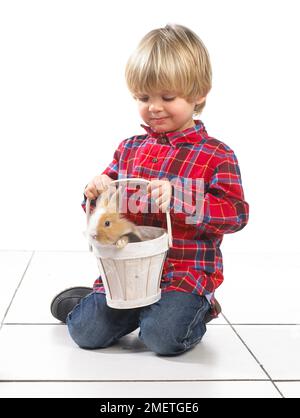 Jeune garçon tenant lapin dans seau en bois, 2 ans Banque D'Images