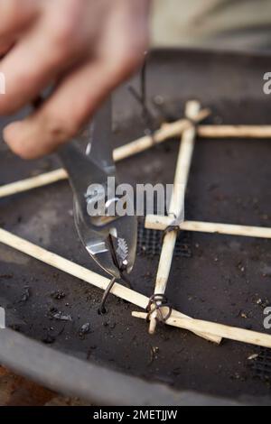 Créer une forêt de Larch, créer un cadre de baguettes de bambou, maintenu en place avec des fils à travers des trous de drainage Banque D'Images