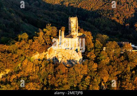 Ruine du château de Drachenfels, construit en 1149, avec hôtel, restaurant Drachenfels et terrasse des visiteurs, Siebengebirge, Koenigswinter, Rhénanie, Nord Banque D'Images