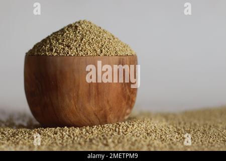 Millet brun, également connu sous le nom de Pla pul, Korale et Andakorra. C'est un jardin entièrement indigène à Andhra Pradesh et Karnataka et un millet rare avec beaucoup Banque D'Images