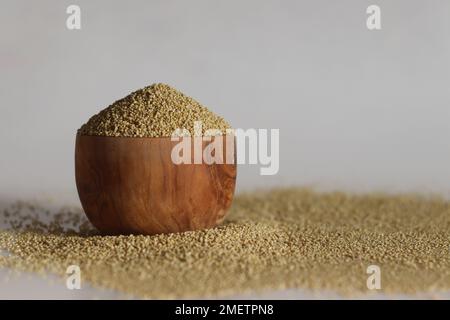 Millet brun, également connu sous le nom de Pla pul, Korale et Andakorra. C'est un jardin entièrement indigène à Andhra Pradesh et Karnataka et un millet rare avec beaucoup Banque D'Images