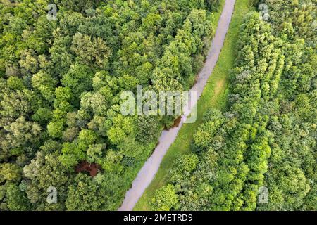 Vue aérienne de Suedradde, rivière traversant une forêt, tir de drone, Basse-Saxe, Allemagne Banque D'Images