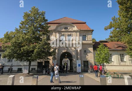 Charite, clinique Virchow, Augustenburger Platz, Wedding, Mitte, Berlin, Allemagne Banque D'Images