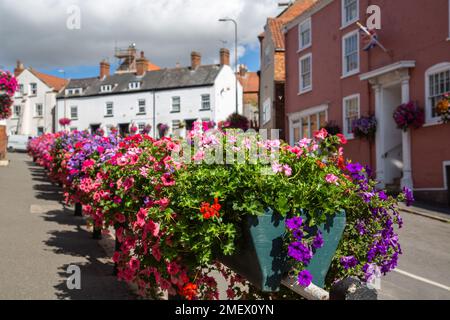 Une rangée de plantes en pot borde une rue à Caistor, Lincolnshire. Les fleurs en fleur offrent une touche de couleur de bord de route. Banque D'Images