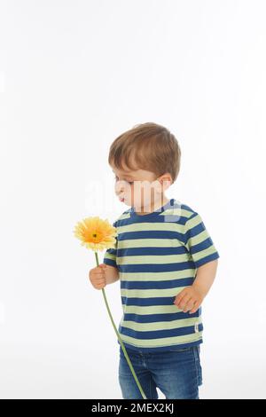 Petit garçon en haut stripey jouant avec la fleur (âge modèle - 2 ans) Banque D'Images