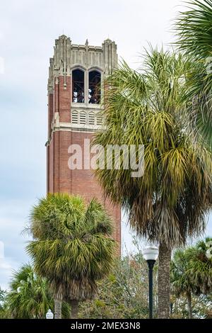 Century Tower Carillon sur le campus de l'Université de Floride à Gainesville, Floride. (ÉTATS-UNIS) Banque D'Images