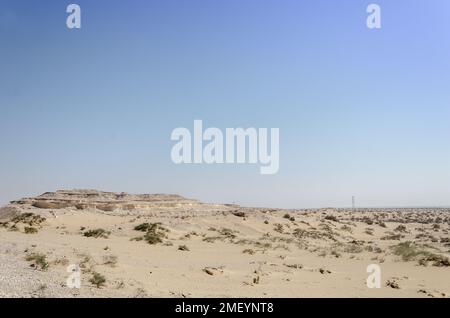 Paysage désertique avec des hillocks de calcaire en arrière-plan, Qatar Banque D'Images