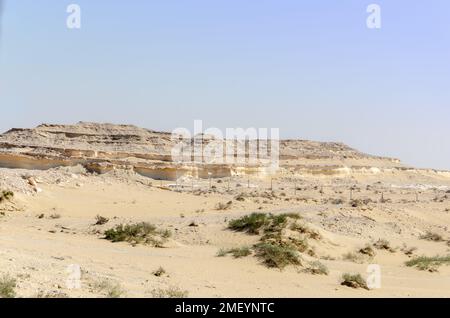 Paysage désertique avec des hillocks de calcaire en arrière-plan, Qatar Banque D'Images