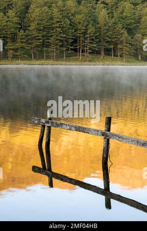 La clôture en bois affiche des reflets dans l'eau brumeuse calme avec la forêt de pins en arrière-plan. Buttermere, Lake District, Royaume-Uni. Banque D'Images