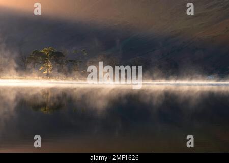 Lever de soleil brumeux avec rangée de pins donnant des reflets parfaits à Buttermere, Lake District, Royaume-Uni. Banque D'Images