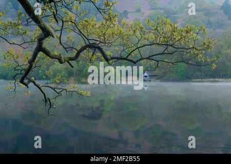 Vue calme et paisible sur le lac brumeux à l'aube avec des couleurs vertes du printemps. Rydal Water, Lake District, Royaume-Uni. Banque D'Images