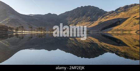 Magnifiques reflets sur le lac de Buttermere le matin ensoleillé avec une rangée d'arbres sur le rivage. Lake District, Royaume-Uni. Banque D'Images