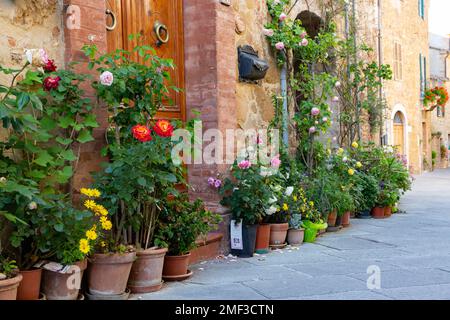 Plantes en pot en terre cuite alignées à l'extérieur des bâtiments en pierre dans le village pittoresque de Montisi, Toscane, Italie. Banque D'Images