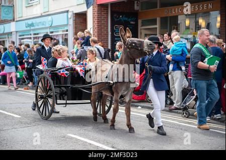 Carnaval de Wallingford 2012 Banque D'Images