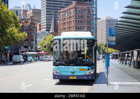 Bus à impériale unique de Sydney à l'arrêt de bus sur la place du chemin de fer, Chippendale, Sydney, Nouvelle-Galles du Sud, Australie été 2023 Banque D'Images