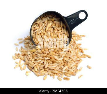 Avoine grains sans husk isolé sur fond blanc Banque D'Images
