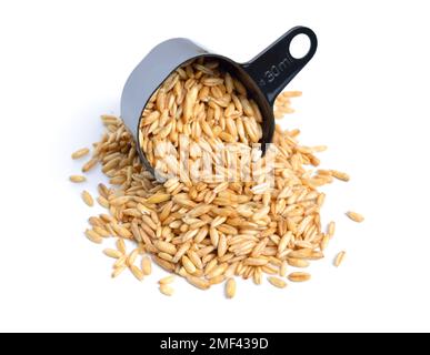 Avoine grains sans husk isolé sur fond blanc Banque D'Images
