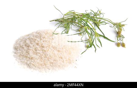 Tas de feuilles de psyllium dans une cuillère en plastique. Isolé sur fond blanc. Banque D'Images