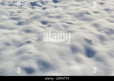 Photographie de la belle texture de neige blanc pur. Arrière-plan d'hiver. Banque D'Images