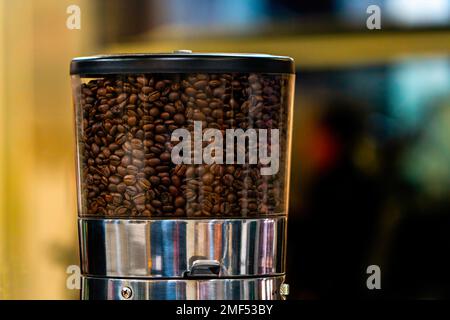 Grains de café dans le bac du moulin à café Banque D'Images