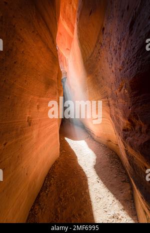 Southwest nature Utah Outdoor AdventurePhotography exploration dans le tourbillon de grès dans Peekaboo Slot Canyon Banque D'Images