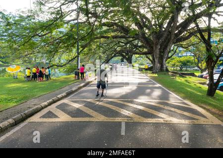 Taiping, Malaisie - 1st janv. 2023: Magnifique jardin du lac Taiping, un grand parc pour l'exercice et les activités récréatives. Banque D'Images