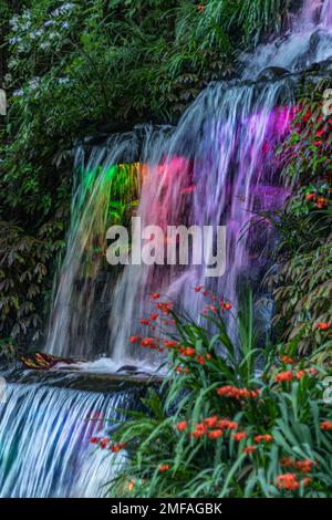 Cascade colorée au Festival des lumières Banque D'Images