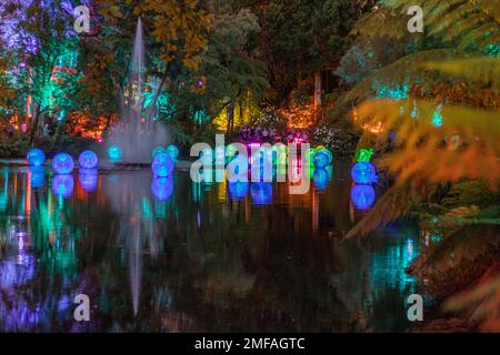 Bulles colorées sur le lac Fountain pendant le Festival des lumières Banque D'Images