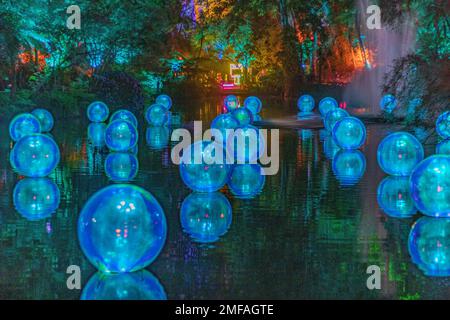 Phase bleue du film dichroïque bulles sur le lac Fountain, parc Pukekura pendant le Festival des lumières Banque D'Images